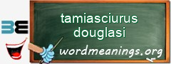 WordMeaning blackboard for tamiasciurus douglasi